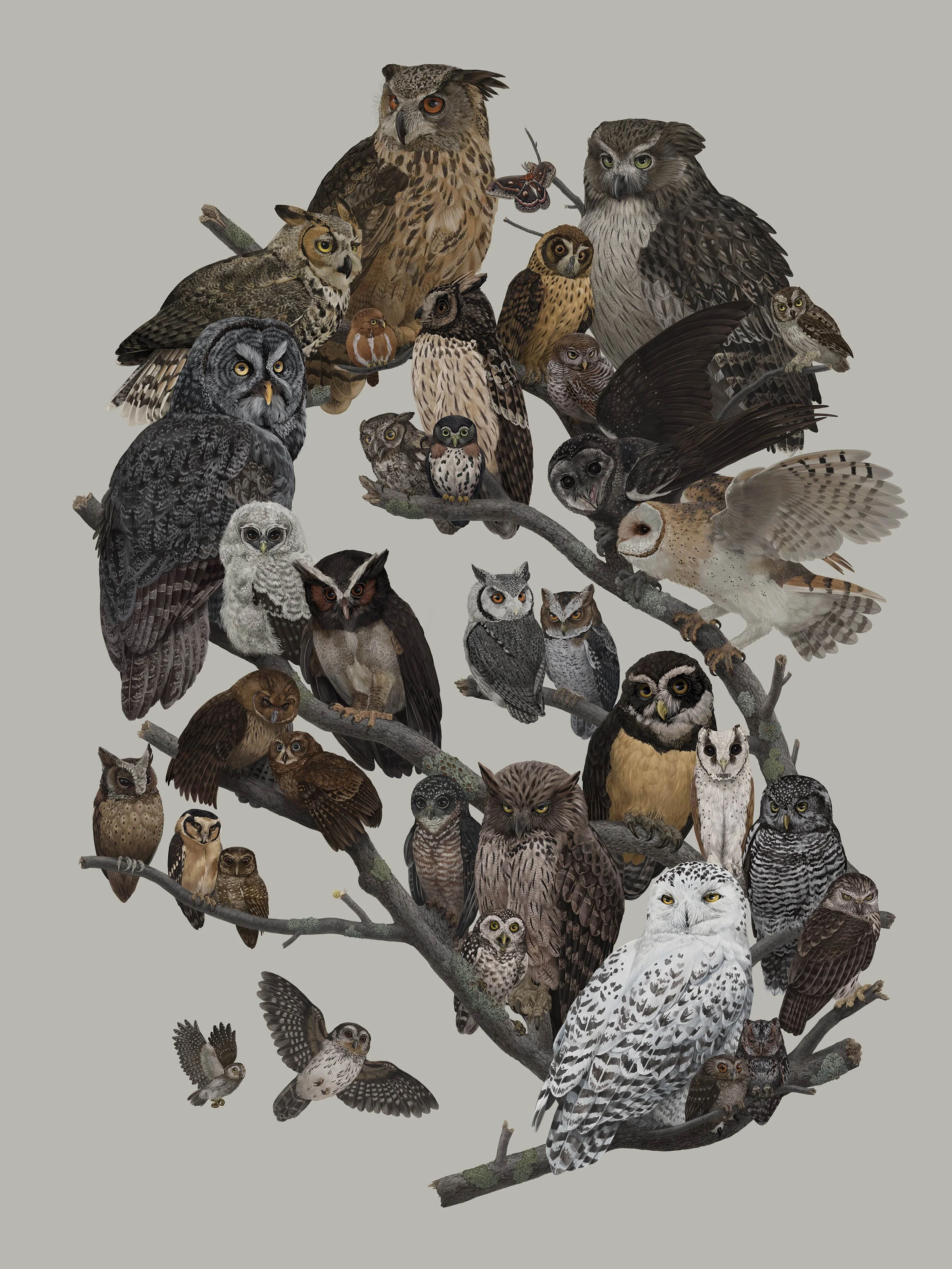 Home — Zoe Keller Nature Art